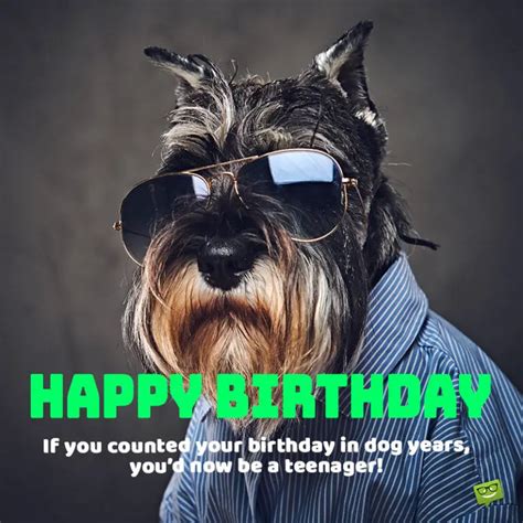 funny happy birthday images and sayings